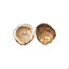 Belon Oysters N ° 00 GDP | Box w/25pcs