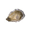 Oysters Fine de Claire Large n°2 Fabrice Tessier | Box w/12pcs