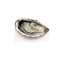 Oysters Fine de Claire Medium n°3 Fabrice Tessier | Box w/24pcs