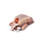 Young Royal Pigeon Naked 500-540gr | per kg